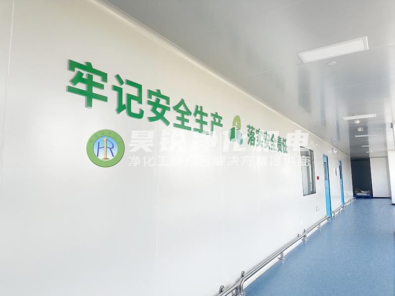 合肥艾維司生物保健品凈化車間 (3)